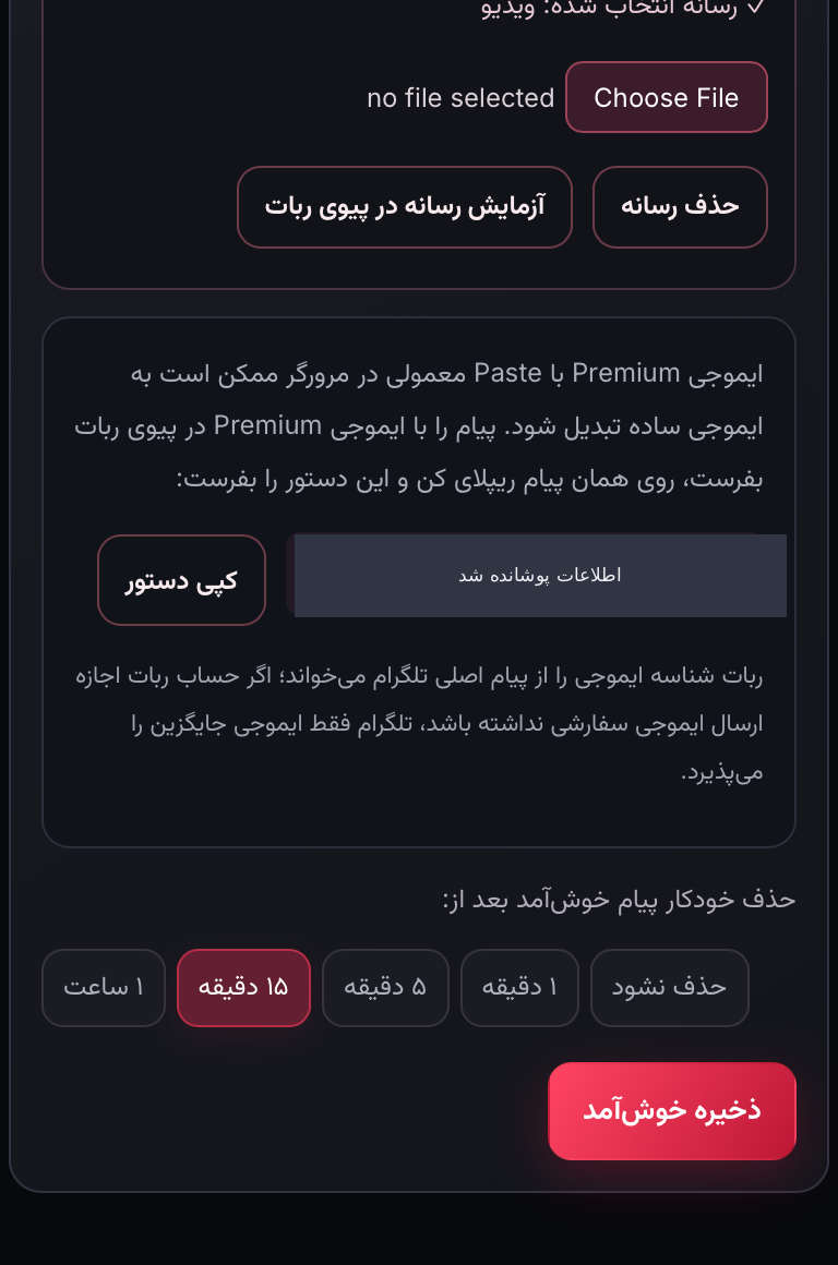 اسکرین‌شات واقعی مینی‌اپ با اطلاعات پوشانده‌شده: رسانه و حذف خودکار را بررسی و ذخیره کن
